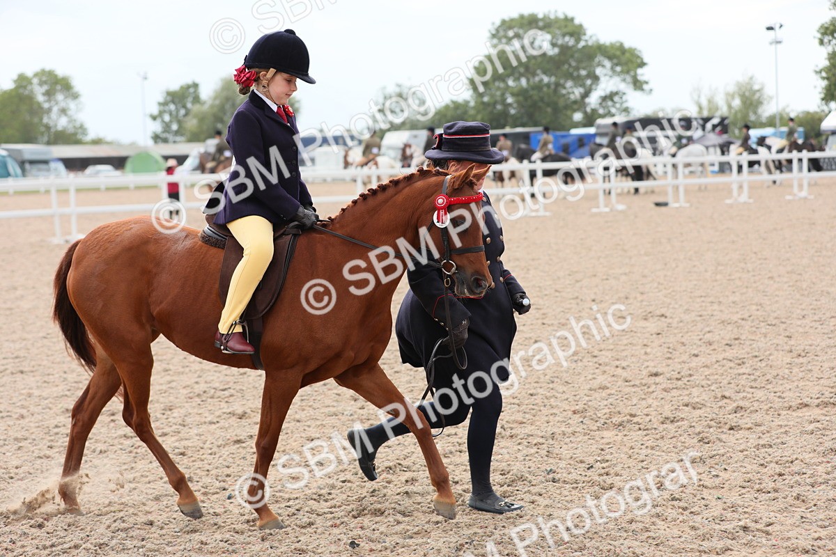 SBM_16896 - Class 314 Family Horse/Pony