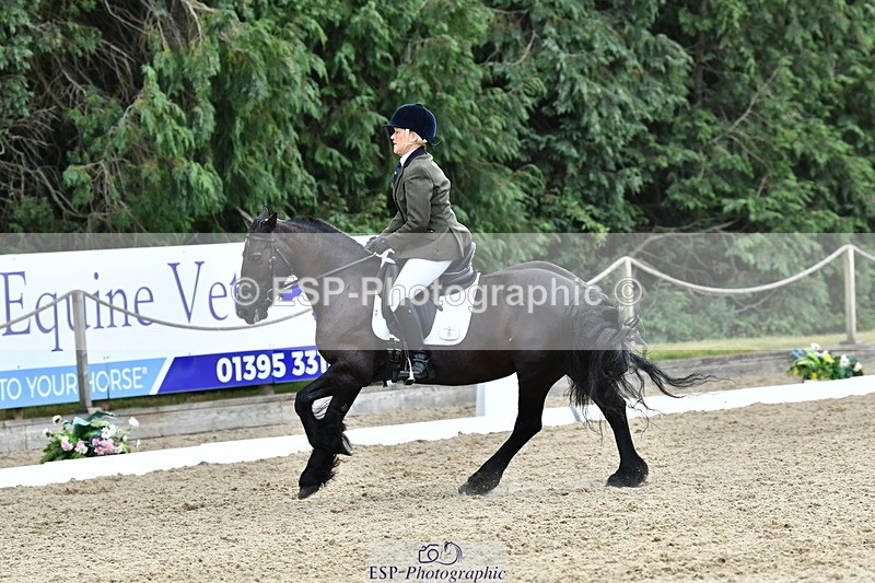 260801A-122320-03914 - Prelim Bronze Break - End