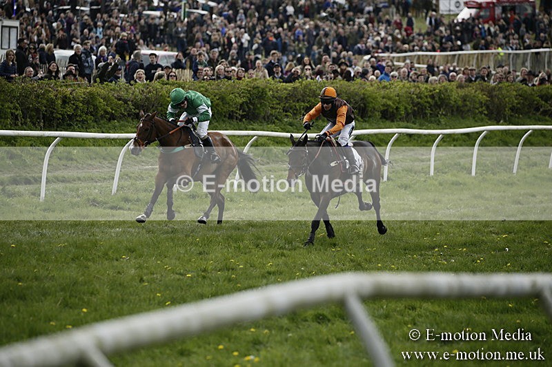 PtP 170417 193 - Old Berks Point-to-Point Lockinge 17/04/17