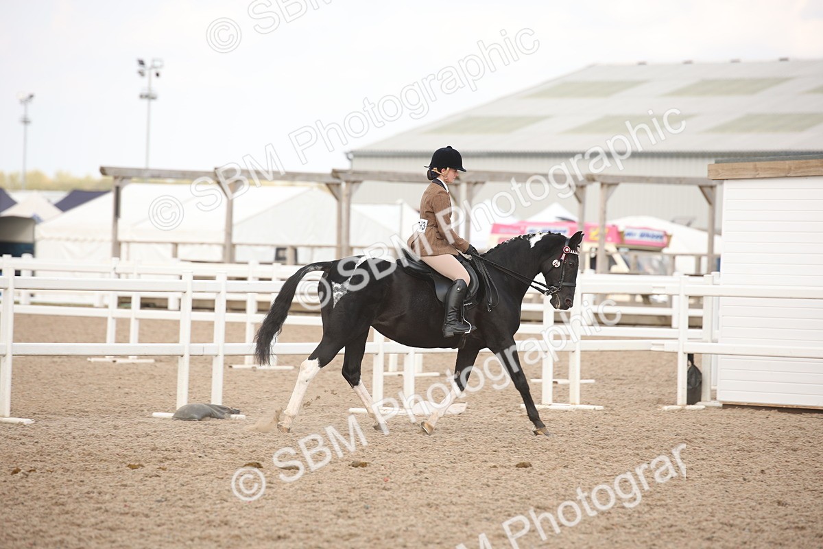 SBM_08755 - Class 12R Regional Ridden Pre-Vet