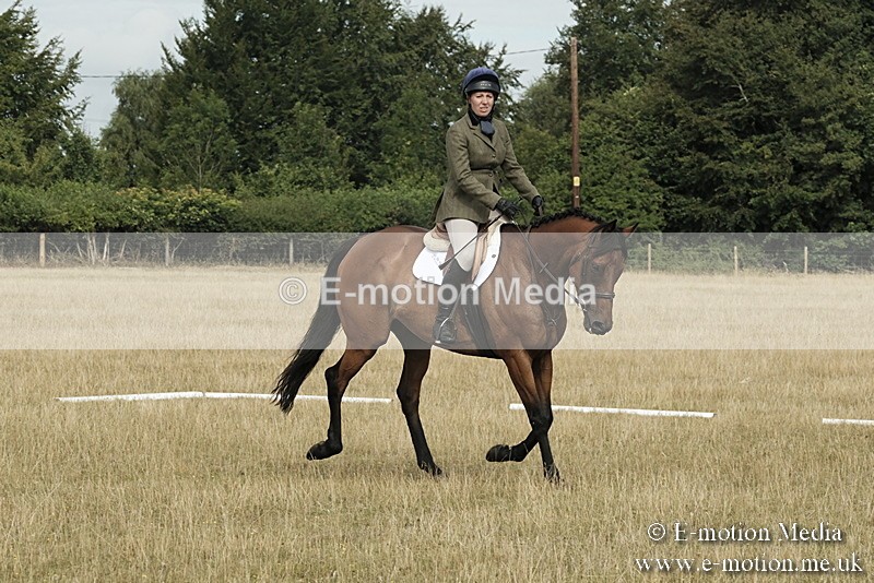 _PJP5638 - Dressage Classes BVRC Show 2018