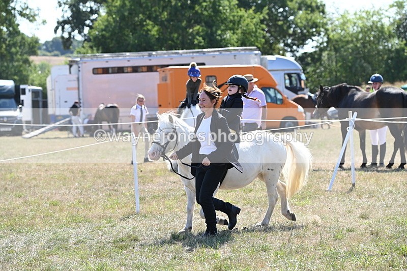 WJ6_7876 - Class 36 Lead Rein