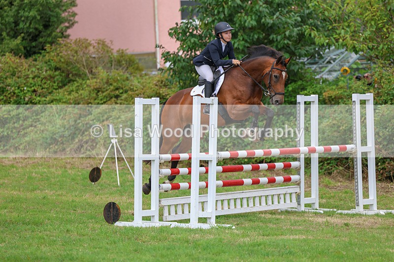 3E7A8199 - Class 7: Senior Newcomers/1.10m open