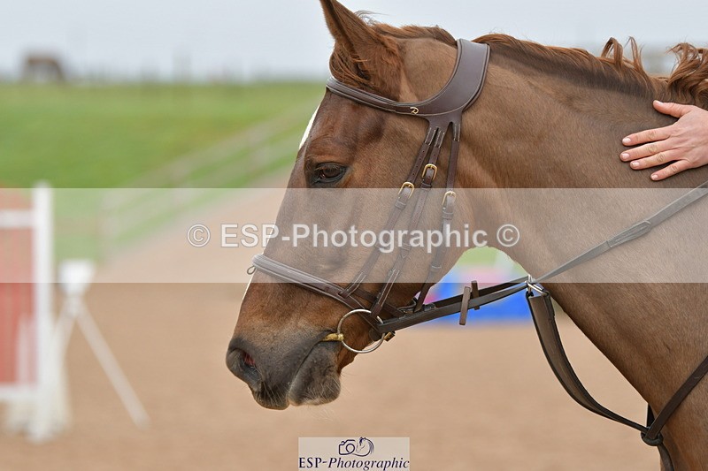 240203A-101638-00074 - 70cm