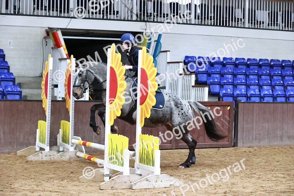 SBM_000549 - Class 2 - Show Jumping 50cm