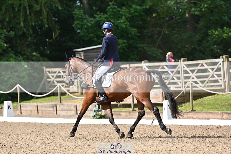 250523A-094033-05304 - C-258-Bill.Levett-ITALIAN.HARLEQUIN.NJ