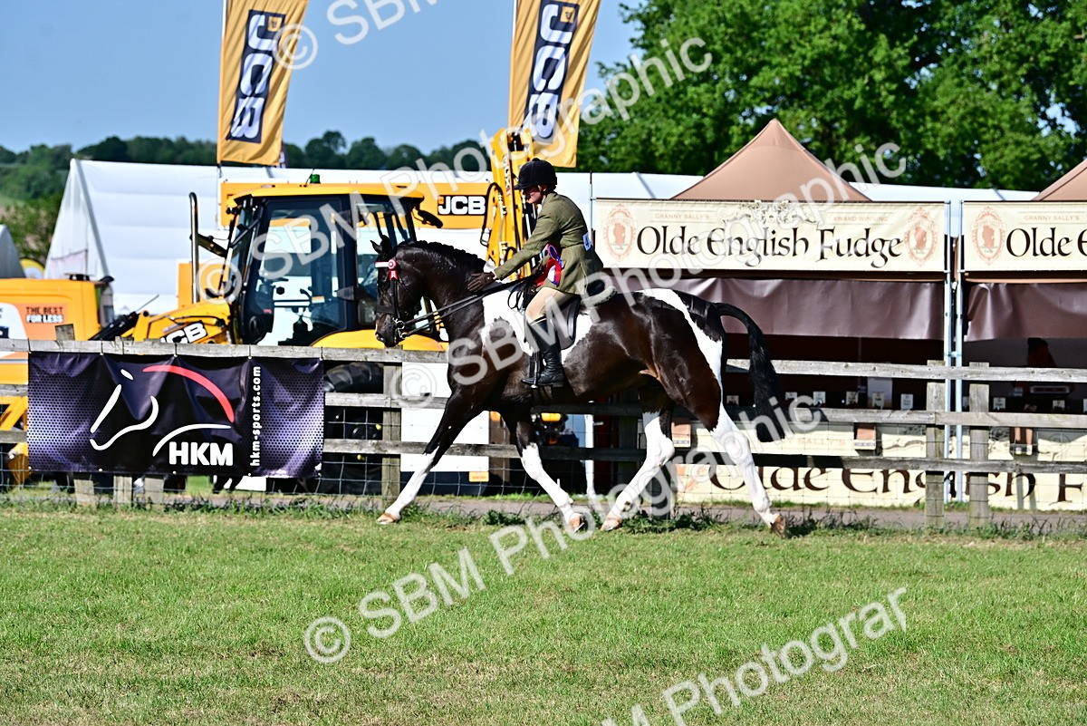 SBM_19587 - Class 101-102 - BSPS LIHS Performance Coloured Horse/Pony