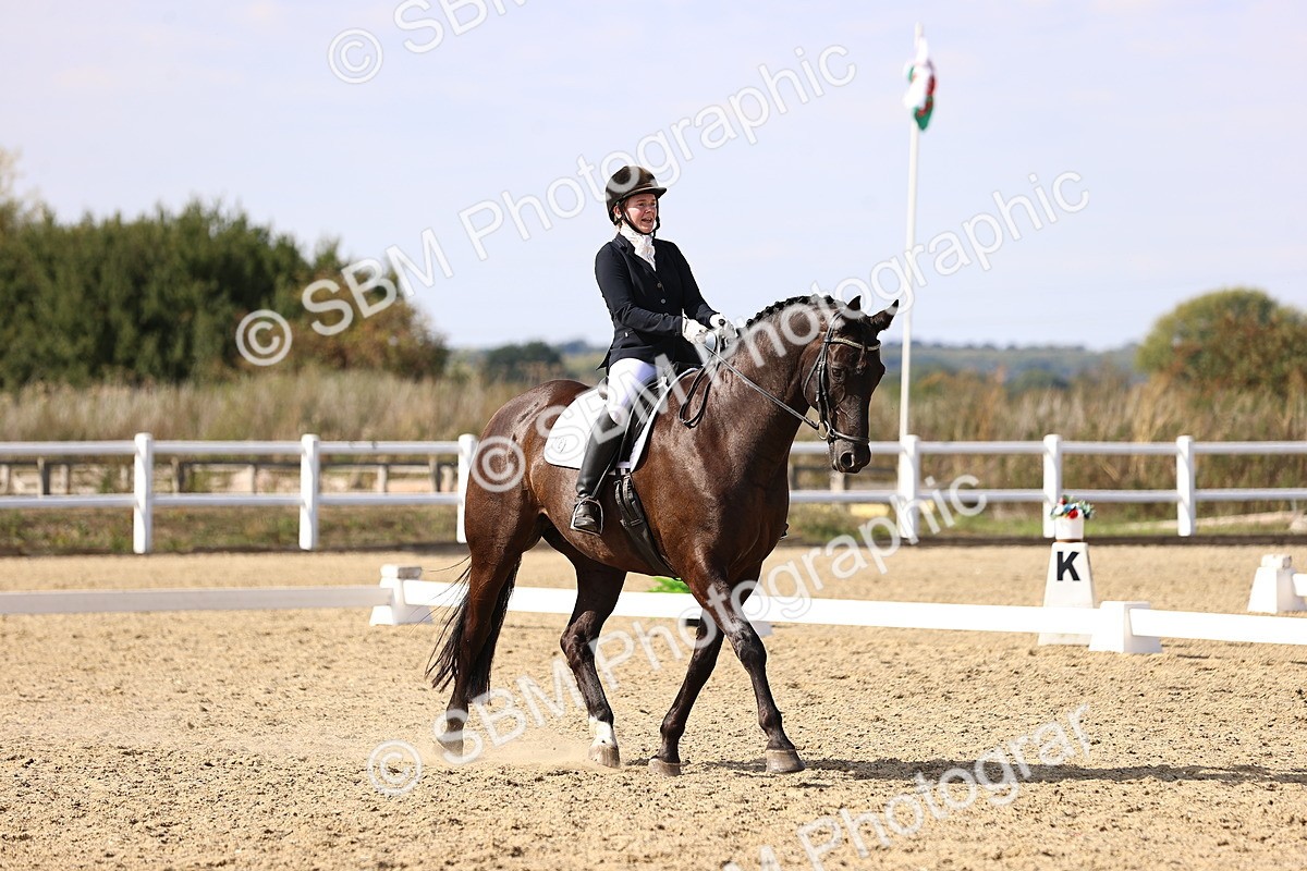 SBM_015216 - Class 8 - Medium 5