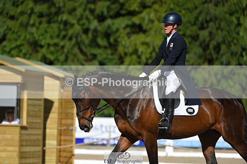 230526-171845-07564 - 262-TREAMBLE-Finn_Healy-WEDTrotUp+DR