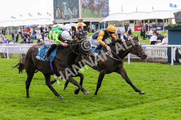 150524-Race 6-Shadow Army-1587 - Race 6 4.45pm British Stallion Studs EBF Novice Stakes