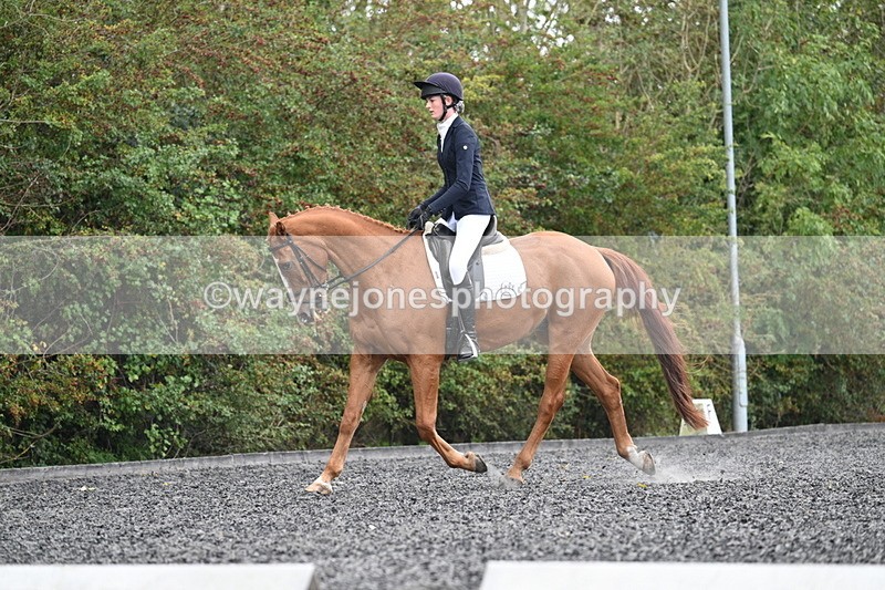 WJ7_6718 - Time 14:49 to 15:14