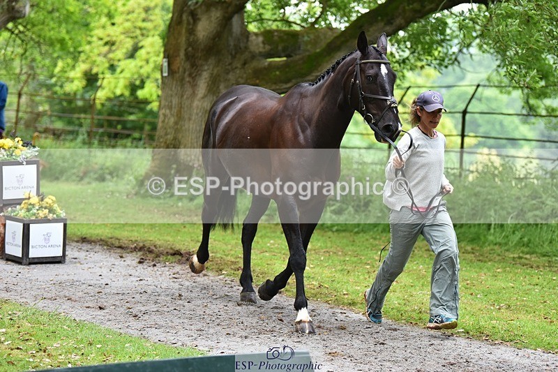 240522-172852-01638 - 290-MISTER_KAI-Hani_Milstein