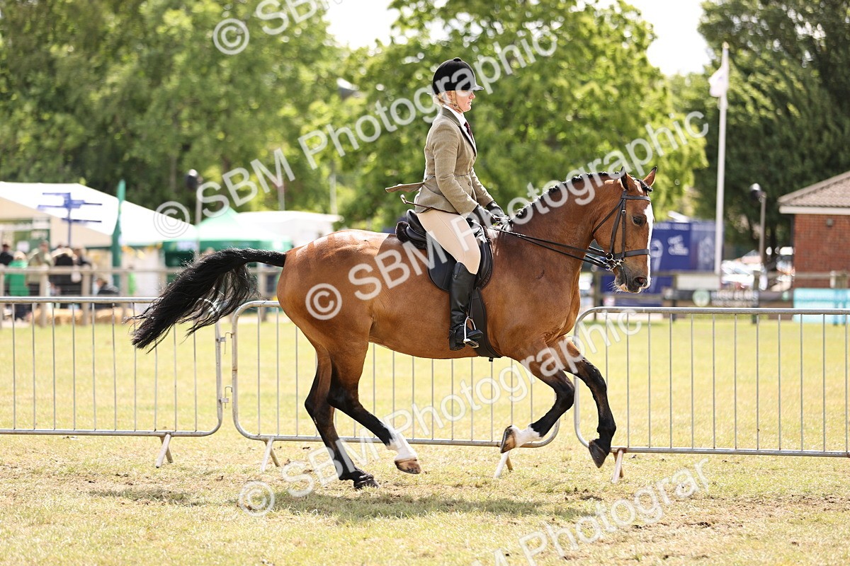 SBM_14526 - Class 88-89 - LIHS BSHA Rising Star of Ridden Hunter Type