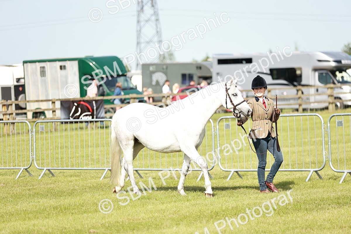 SBM_01620 - Class 14-23 - Mountain & Moorland In Hand Non Welsh