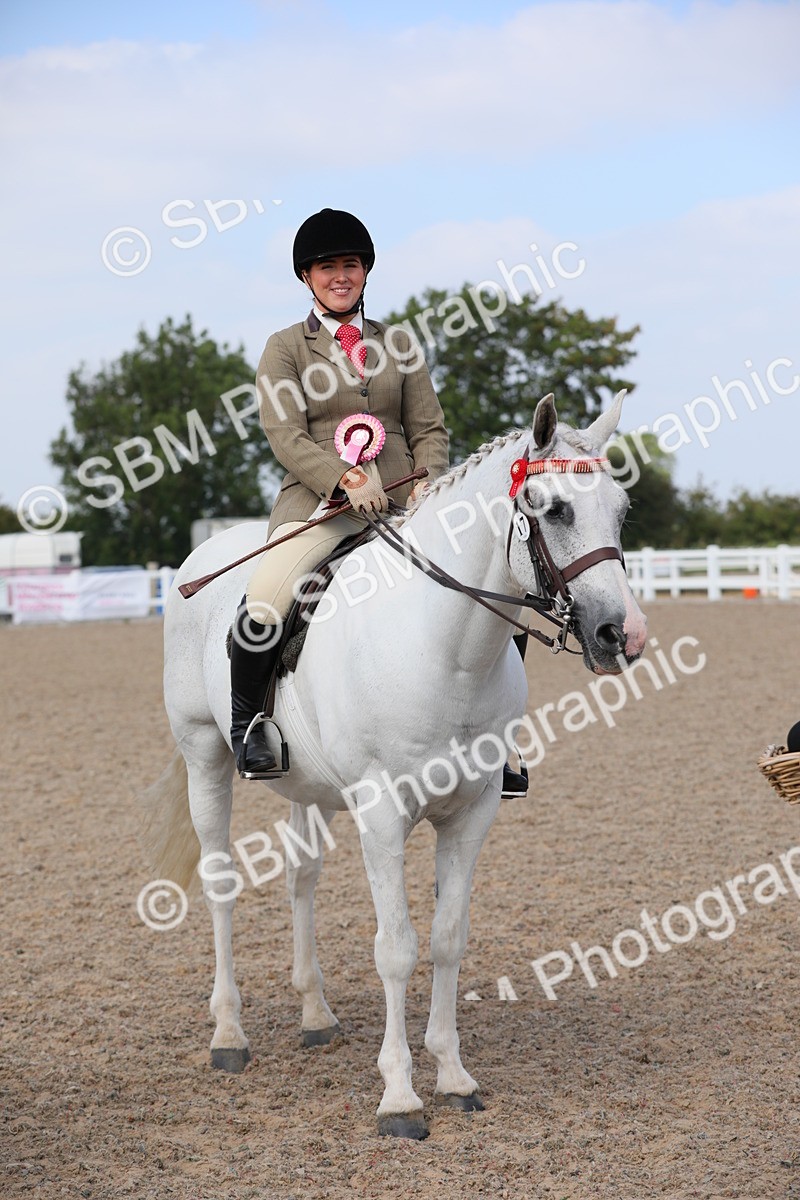 SBM_13538 - Class 308 Ridden Coloured Horse