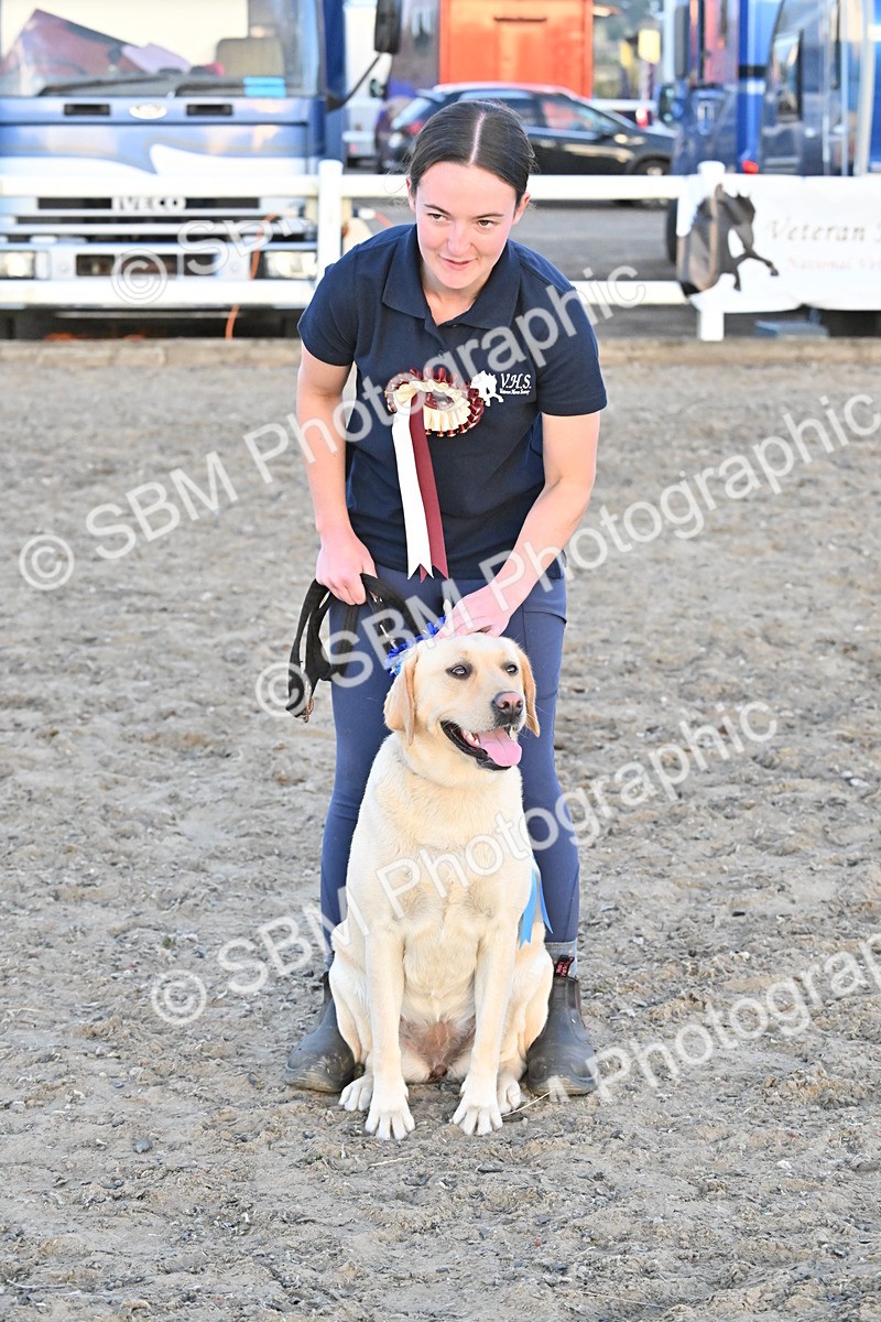 SBM_09730 - Lorry Dogs