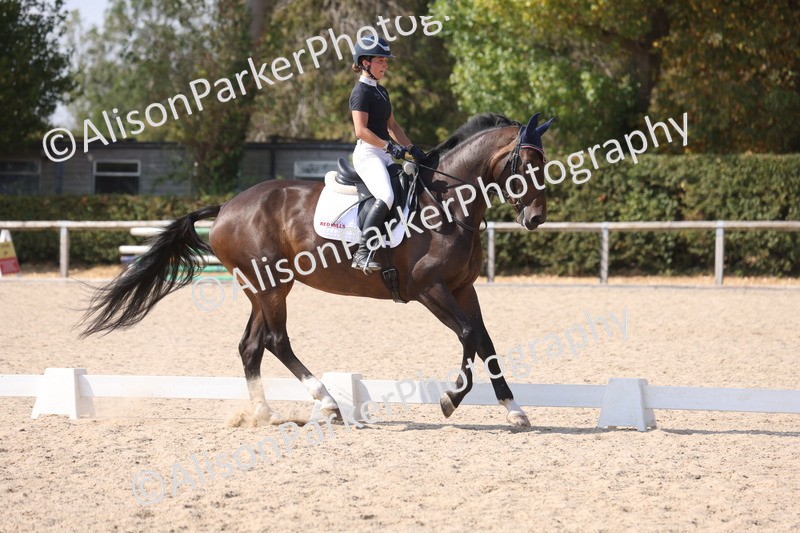 20260815-1165 - Class 6 - Novice 2