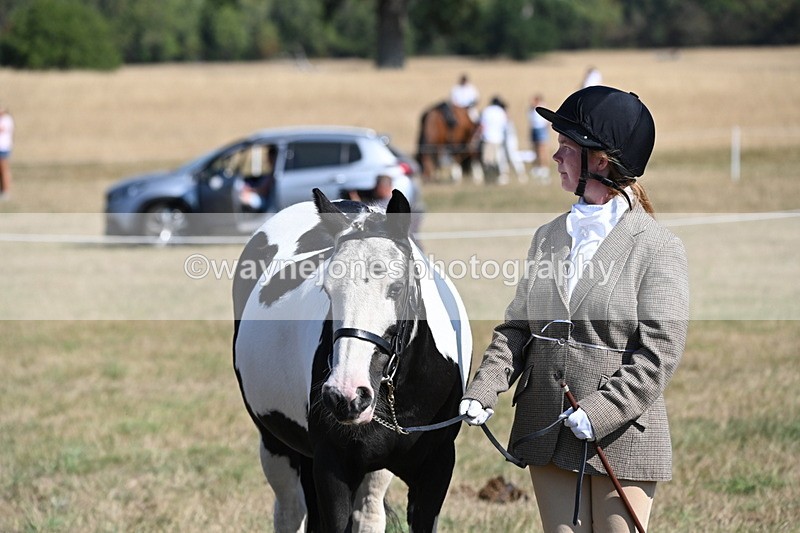 WJ6_7593 - Class 34 Judges Choice