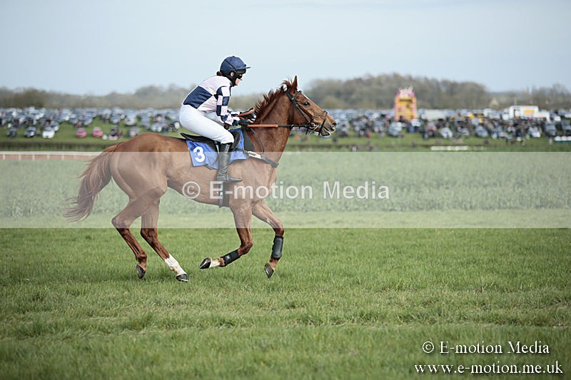 PtP 230319 318 - VWH Hunt Siddington Point-to-Point Racing 23/03/19