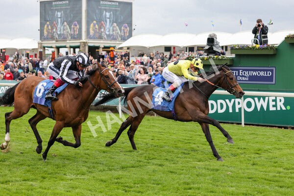 yr13052022r2-19 - Race 2 2.25pm Oaks Farm Stables Fillies' Stakes (registered as the Michael Seely Memorial Stakes)
