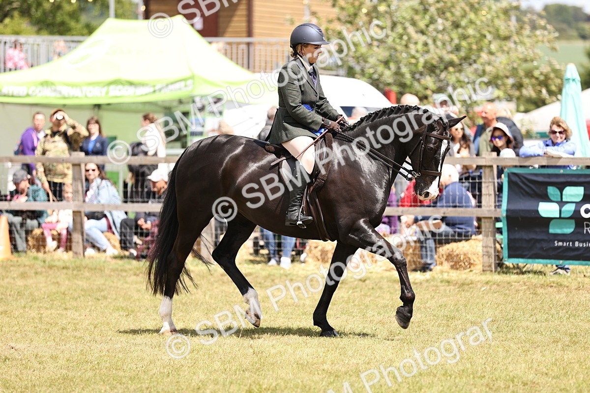 SBM_14776 - Class 88-89 - LIHS BSHA Rising Star of Ridden Hunter Type