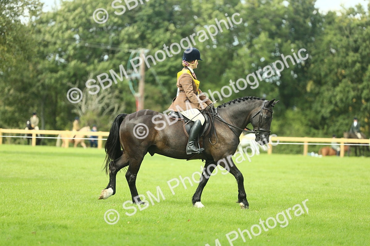 SBM_44867 - Working Hunter Pony Supreme Championship