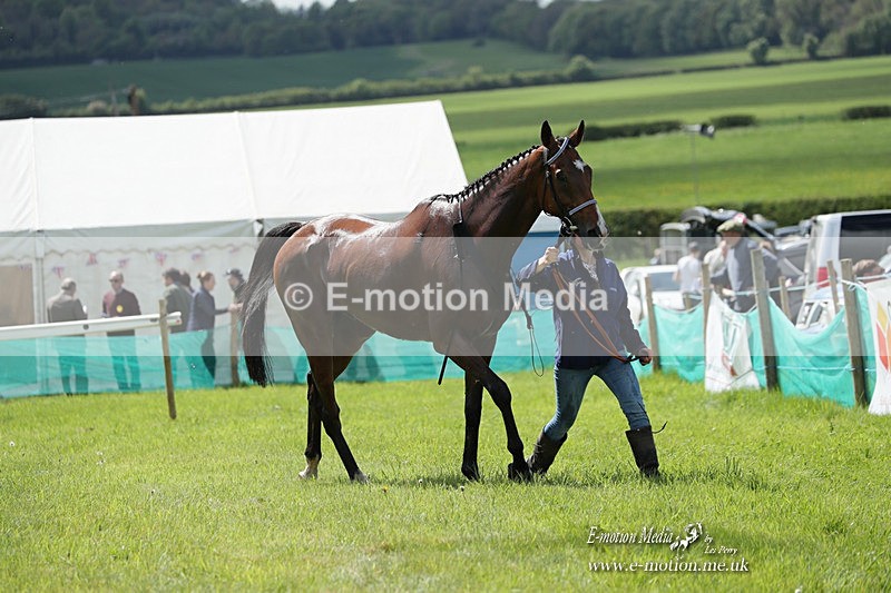 PtP 070523 122 - Kimblewick Races Coronation Meet  Kingston Blount 07/05/23
