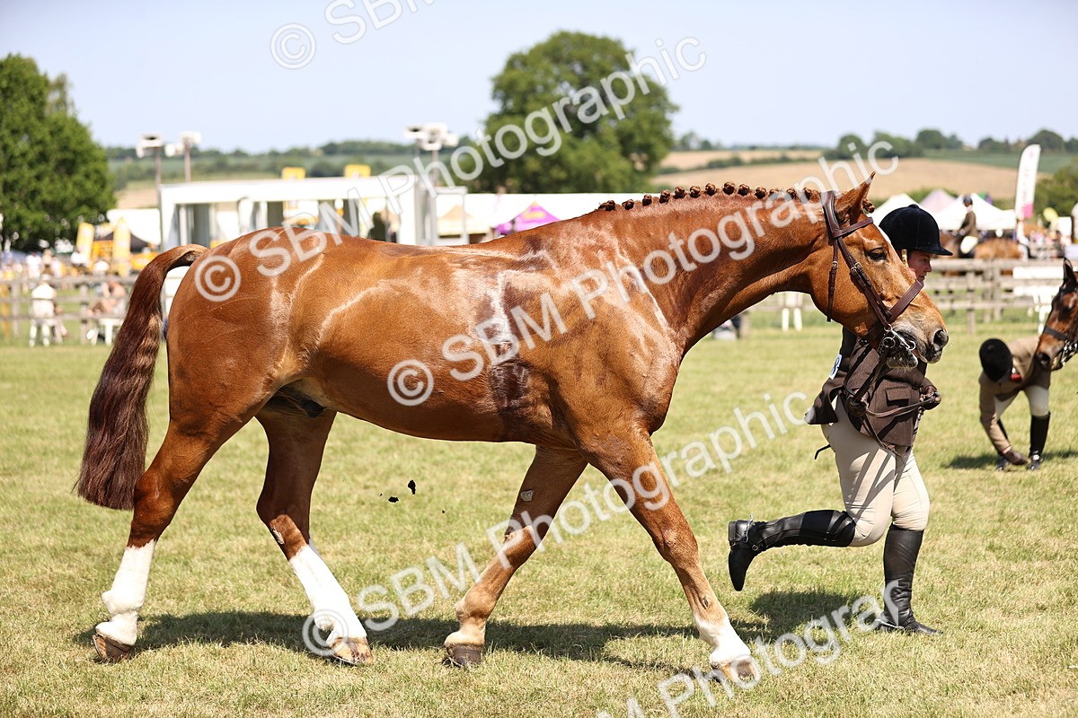 SBM_17776 - Class 81-83 - TSR Ridden Amateur of the Year - Horses