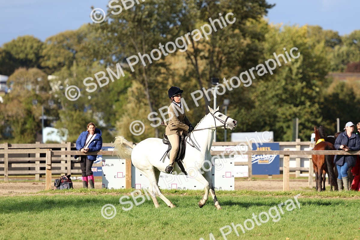 SBM_52515 - S13 - Pony Club Pony