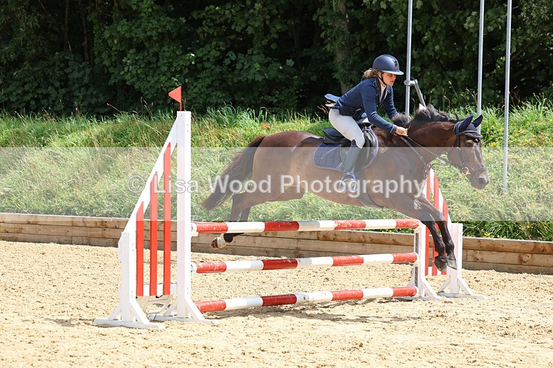 3E7A0404 - Class 9: Senior British Novice/90cm open