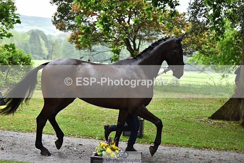 240522-162118-00857 - 201-PRIMITIVE_FUNTIME-Roberto_Scalisi