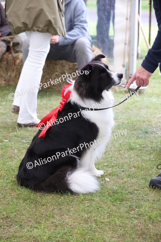 20250607-0446 - Best in Show