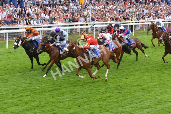 yr23072022r2-36 - Race 2 2.40pm Sky Bet Dash