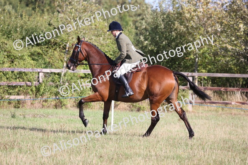 20260906-0395 - Class 14 - Ex Racehorse