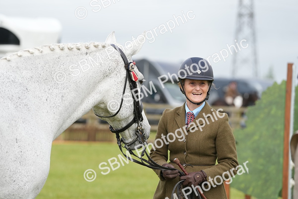 SBM_10616 - Class 97-98 - LIHS BSHA Rising Star Working Show Horse Hunter