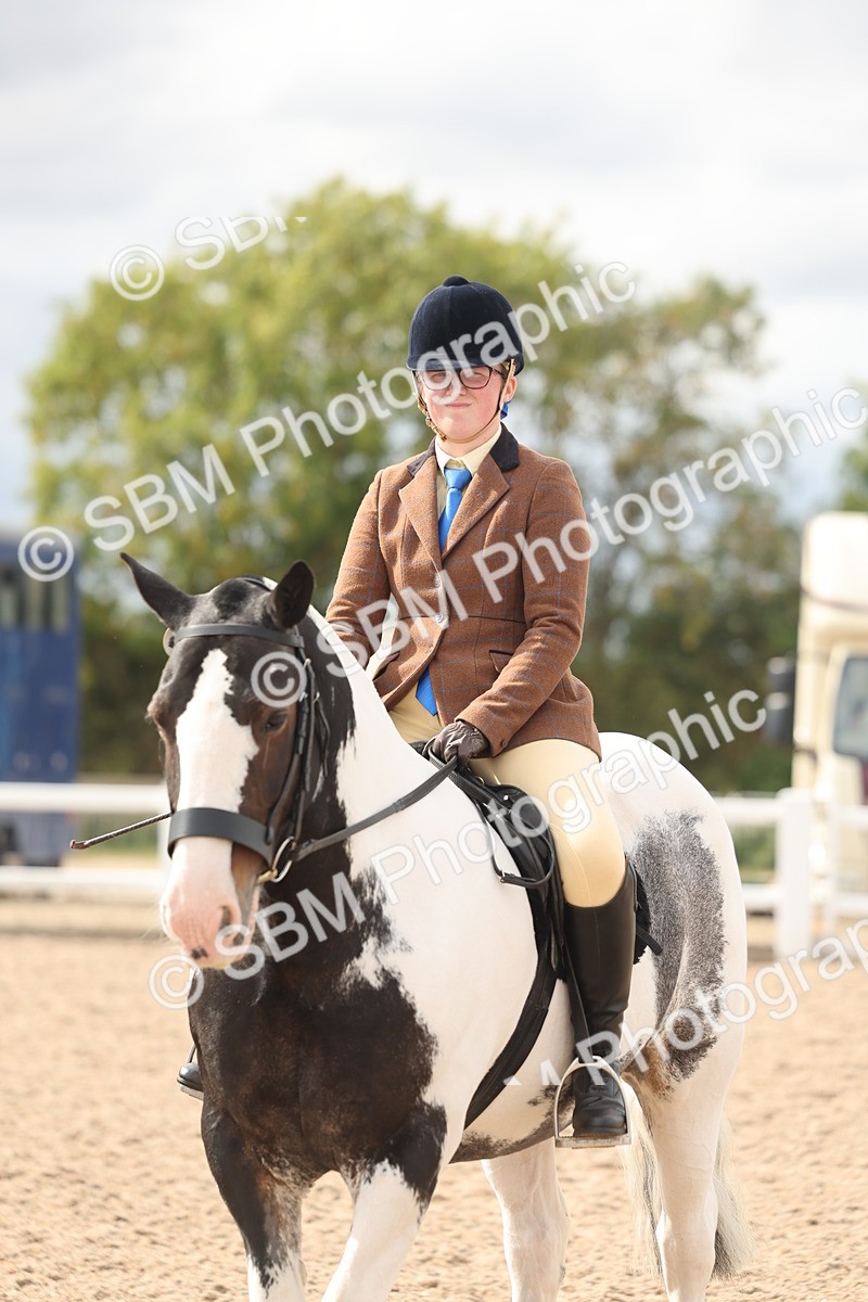 SBM_18043 - Class 314 - Family Horse Pony