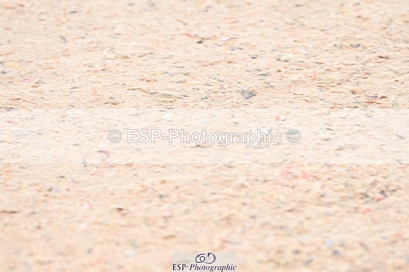 250424-091739-03514 - Cls 13 - 1 Star Bronze Tour