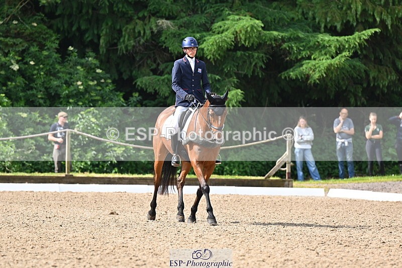 250523A-094301-05325 - C-258-Bill.Levett-ITALIAN.HARLEQUIN.NJ