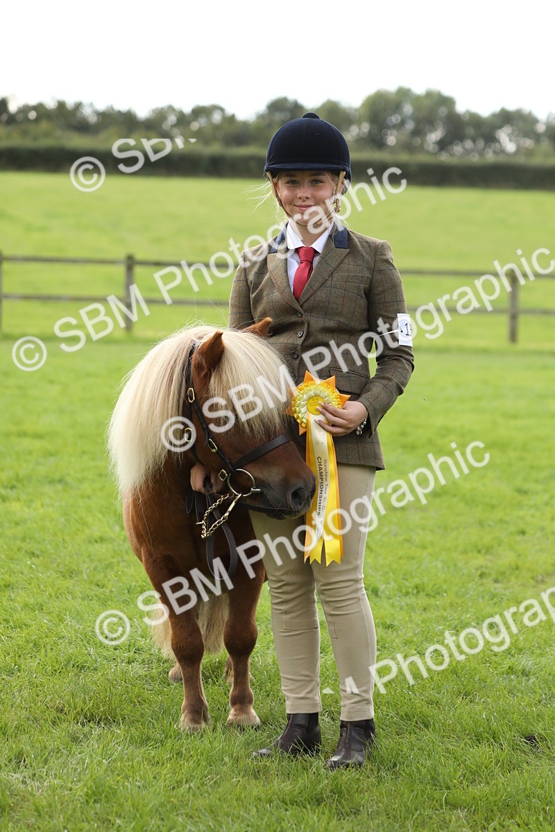 SBM_62872 - S46 - Mountain & Moorland In Hand Small Breeds