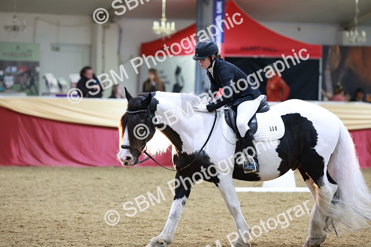 SBM_09972 - Class 61 - Dressage to Music
