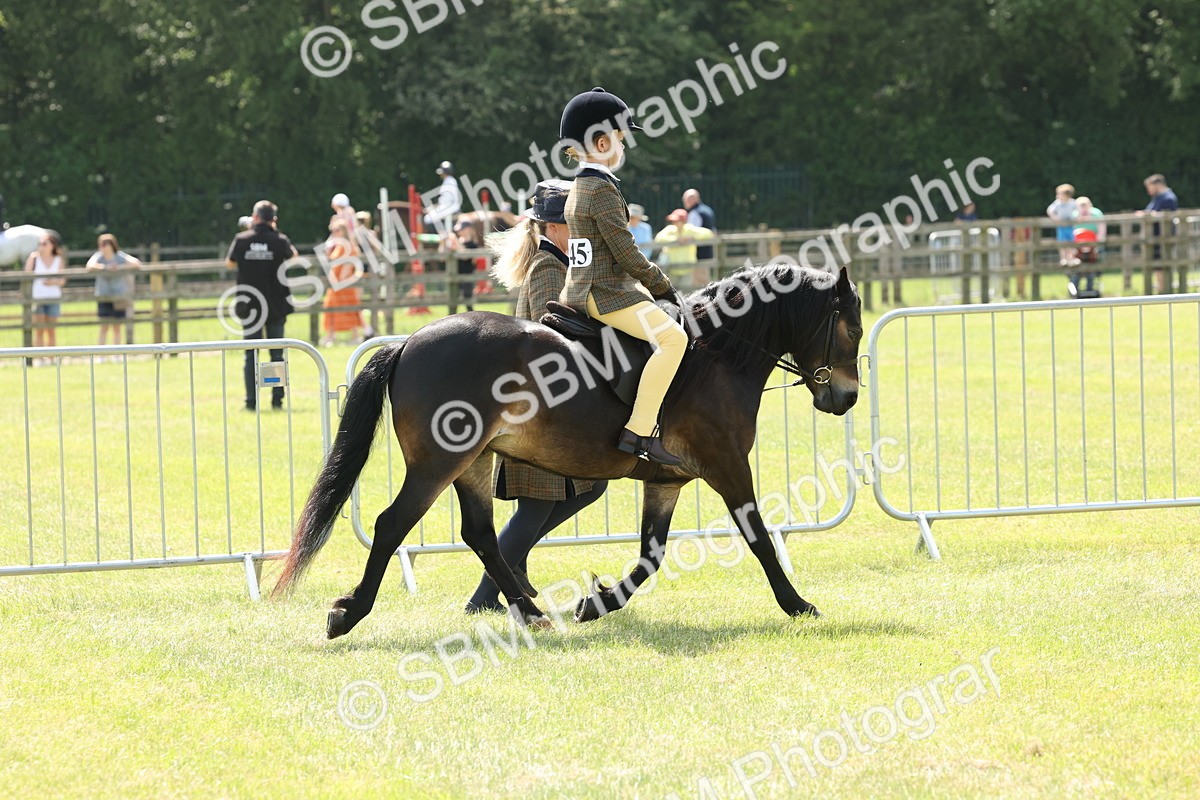 SBM_05205 - Class 24-25 - Mountain & Moorland In Hand Lead Rein and First Ridden