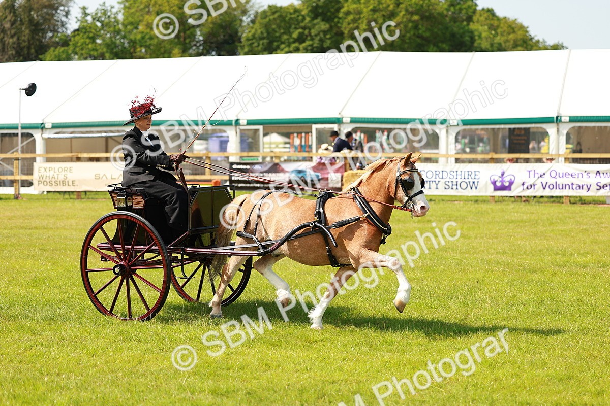 SBM_02671 - Class 2-4 - HOYS Private Driving
