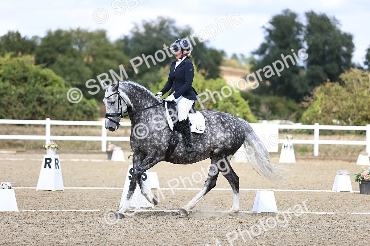 SBM_015230 - Class 5 - E5 Bronze 14.42.15.54