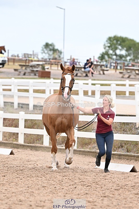 250716-160310-02367 - Trot Up 3.30 to 4.30