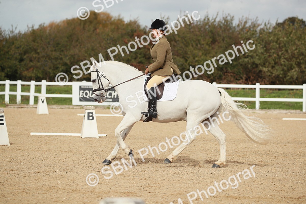SBM_002237 - Class 6 - Elementary 5