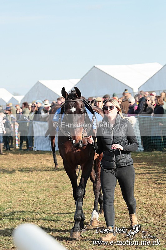 PtP 010325 396 - Beaufort Races Didmarton 01/03/25
