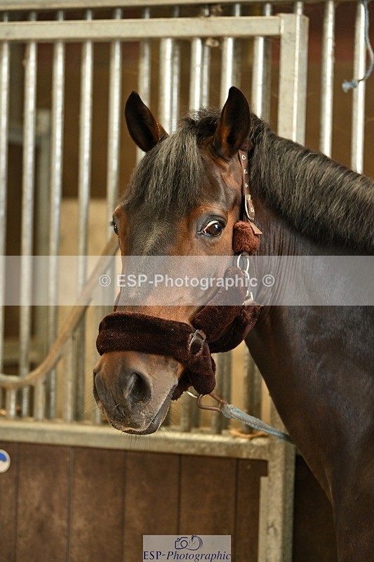 240809A-085113-00026 - Stable Shots