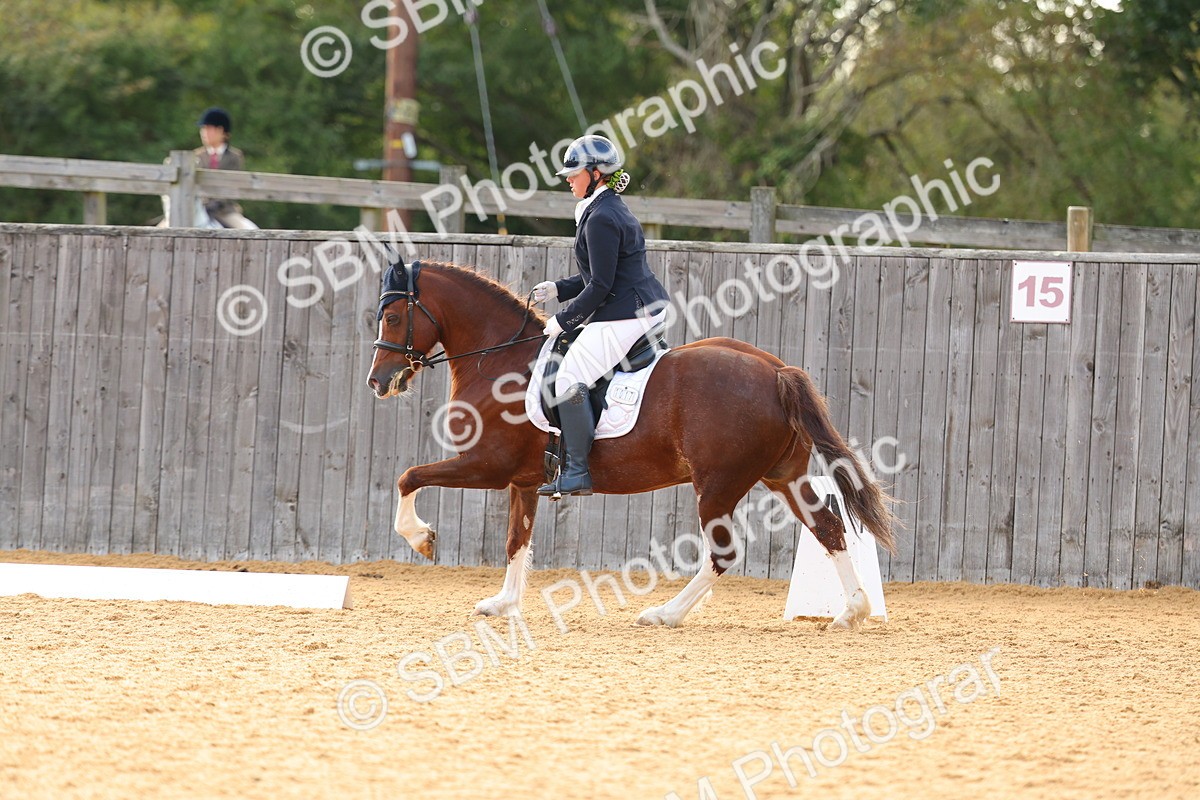 SBM_51206 - D12 - Small Tour Championship - Prelim 18