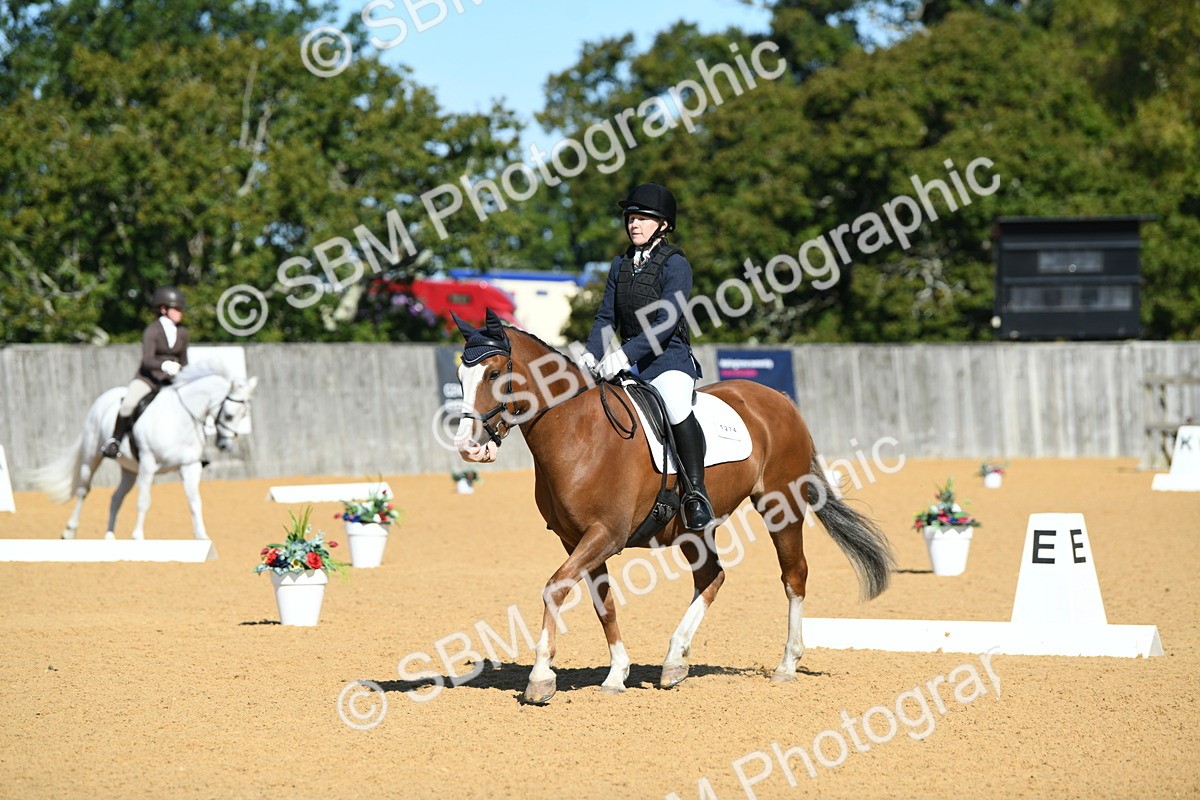 SBM_18134 - D4 - Small Tour Championship - Intro B
