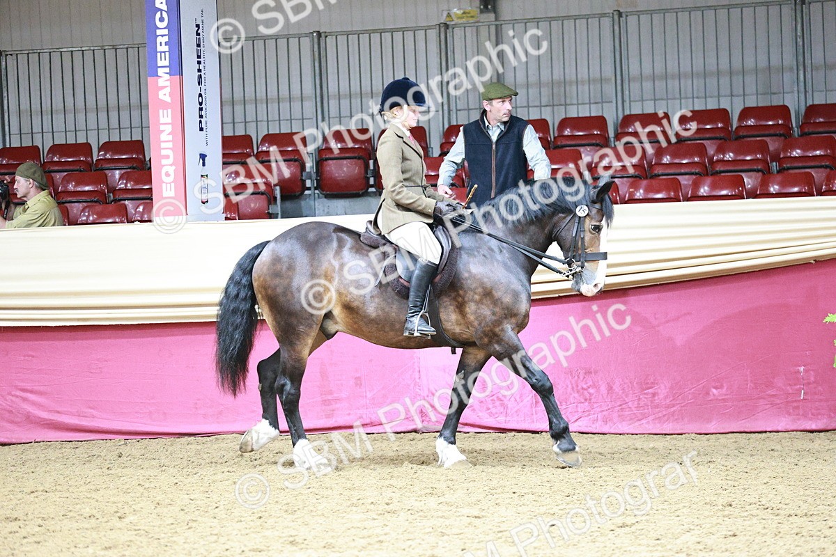 SBM_03110 - Class 5A - Area Ridden Veteran